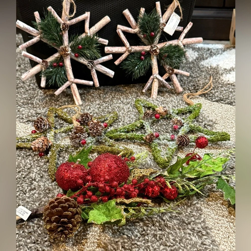 Pier 1 Rustic Twig Star & Snowflake Ornaments Michaels Fruit Pick Set of 5